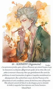 Peinture et texte illustrant la fleur de Bach Aigremoine.